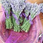 Apartman Lavanderin
