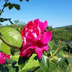 Lavanderin Apartman