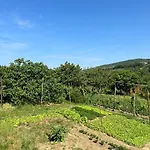 Lavanderin