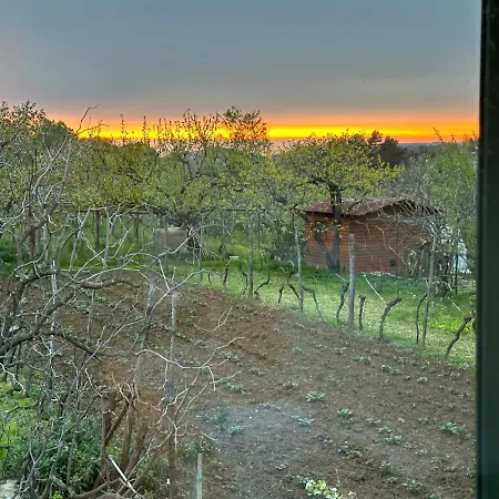 דירה Lavanderin דקאני