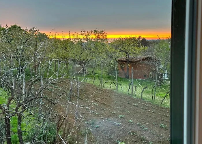 Apartman Lavanderin Dekani